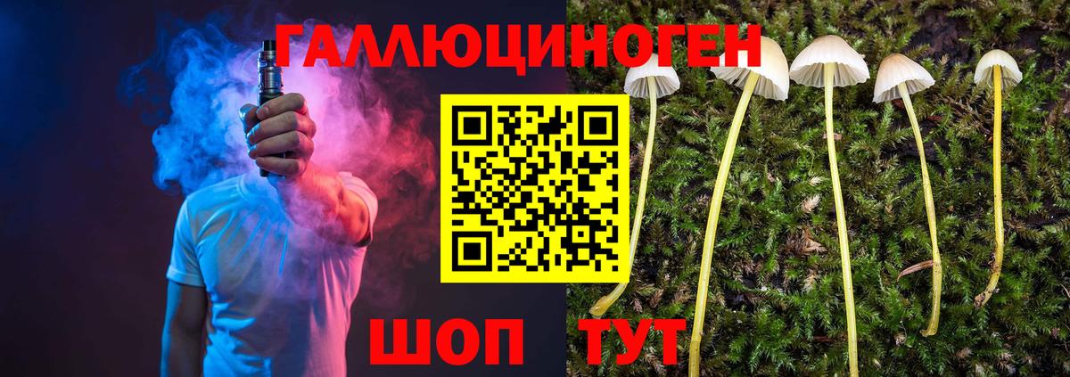 купить   Галлюциногенные грибы мухоморы  Вход с VPN  Галлюциногенные грибы Psilocybine cubensis  Серов 